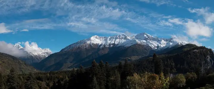 记一次win11浏览器断网分析